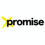 promise group logo